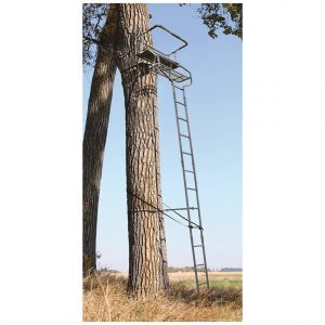 guide gear 18' deluxe tree stand reviews