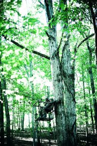 Millennium Treestands L220 Double Ladder Stand Review