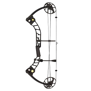 best hunting compound bow
