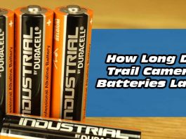 How Long Do Trail Camera Batteries Last?