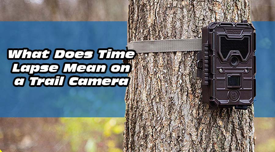 What Does Time Lapse Mean on a Trail Camera