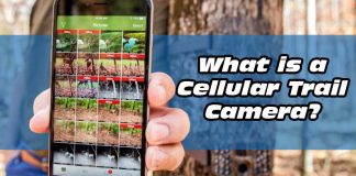 What is a Cellular Trail Camera?
